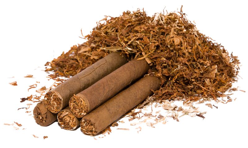 tabak_barlon_SHAMANTOBACCO.cz_01